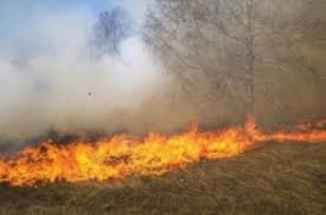 Եղվարդ-Երևան ճանապարհի մոտ այրվել է մոտ 12.000 քմ խոտածածկ տարածք